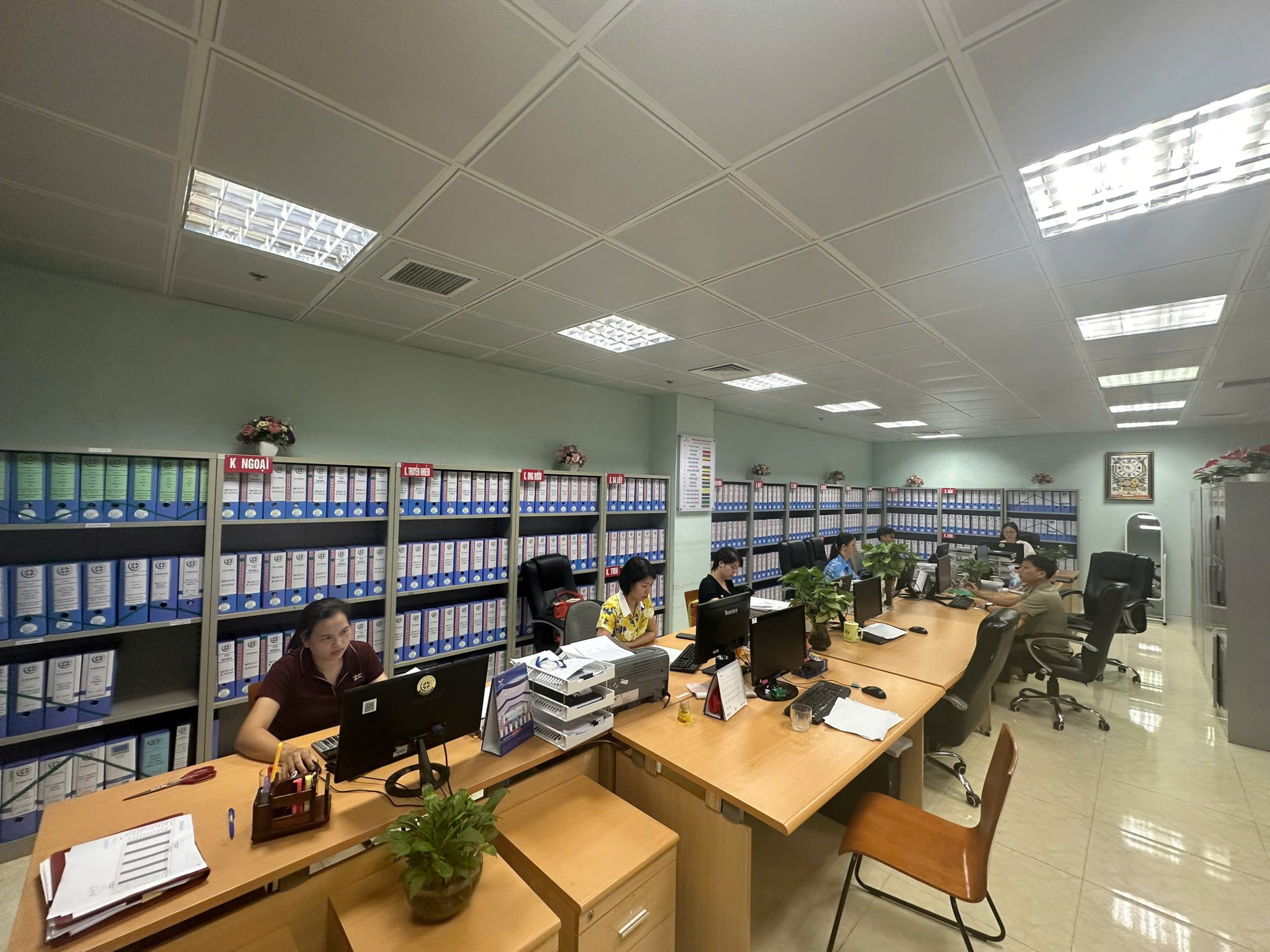 Kế hoạch tổng hợp